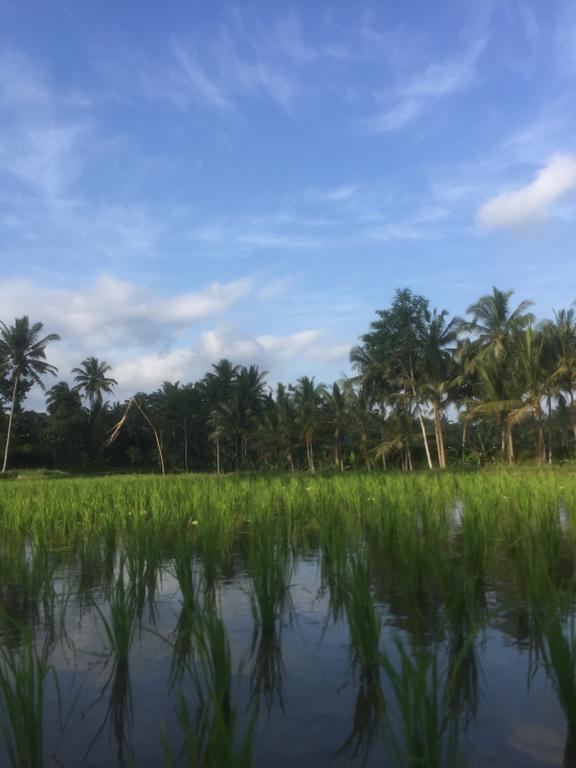Umah Nik Kepitu Apartment Gianyar  Luaran gambar